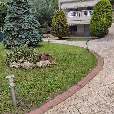 Garden House Vila PalaiónTsiflíkion Exterior foto
