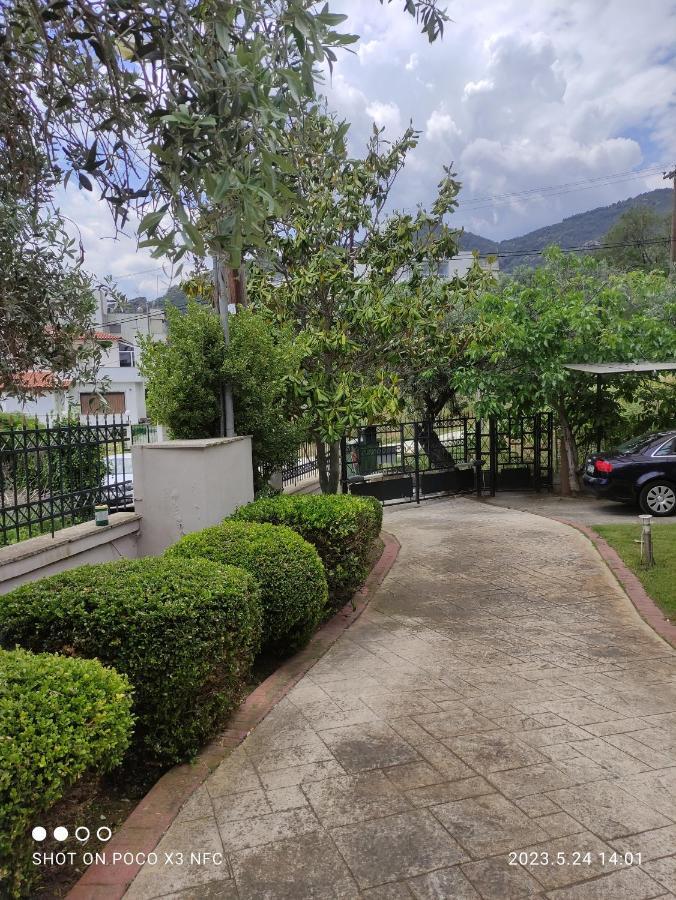 Garden House Vila PalaiónTsiflíkion Exterior foto
